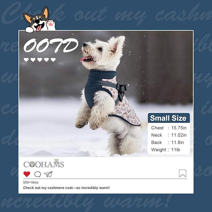Dog Winter Coat for Small & Medium Dogs (Up to 31lb), Waterproof Dog Coat with Harness, Puppies Windproof Puppy Puffer Jacket, Snowsuit for Dachshund,Frenchie, Corgi (Paw Blue, XLarge)