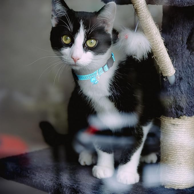 4 Pack Breakaway Cat Collar with Bell,Safety Adjustable Cat Collars Set with Reflective Tape,Ideal for Girl Cats Boy Cats