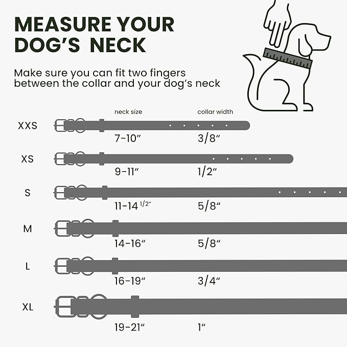 BronzeDog Rolled Leather Dog Collar with QR ID Tag, Adjustable Soft Round Collars for Small Medium Large Dogs Puppy (14" - 16" Neck Size, Violet)