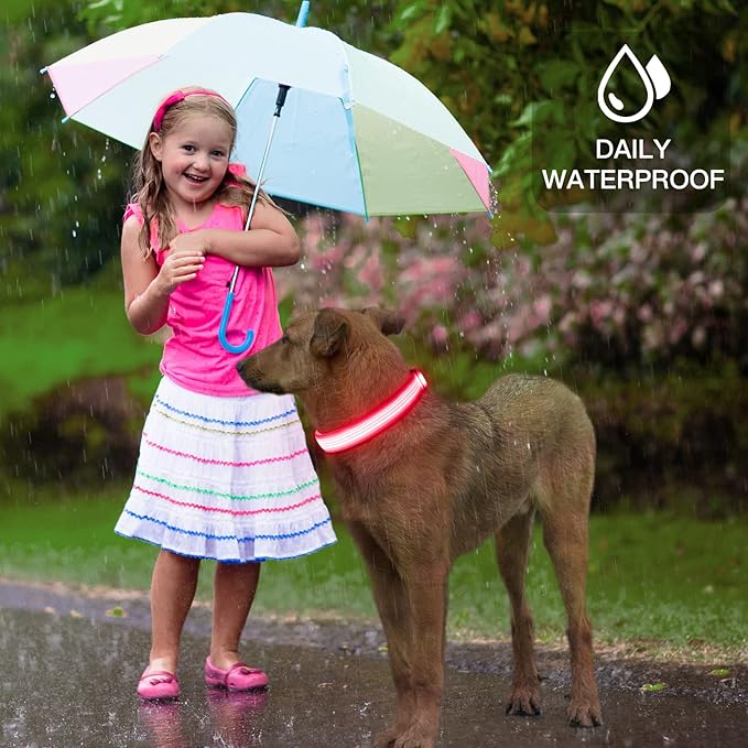 YFbrite Light up Dog Collar, USB Rechargeable LED Puppy Collar Super Bright Adjustable Glowing Dog Lights for Night Walking (Design 2- Pink, Medium)