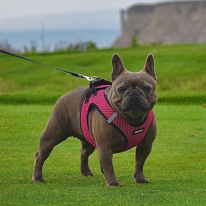 Best Pet Supplies Voyager Step-in Air Harness - All Weather Mesh, Reflective, No Pull Harness for Dogs, Cats - Secure with Hook & Loop Fastener, Buckle, Double D-Rings - Tone, S
