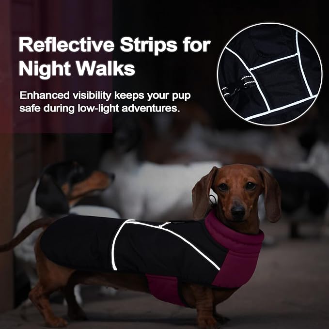 Lelepet Dachshund Coat Warm Dog Winter Coat Waterproof Dog Jacket with Fleece Lining, Reflective Outdoor Dachshund Snowsuit with Leash Hole Adjustable Neckline,Coats for Small Medium Dogs,Purple, S