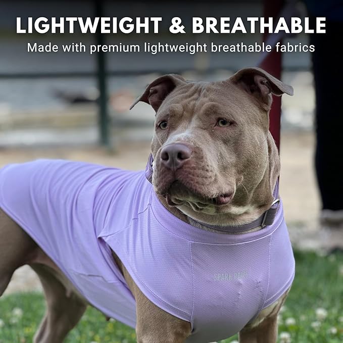 Spark Paws Sunblock Dog T-Shirt, SPF30 Protection, Lightweight Breathable Quick Dry for Dogs with Sensitive Skin - Purple & Pink (Set of 2) - S