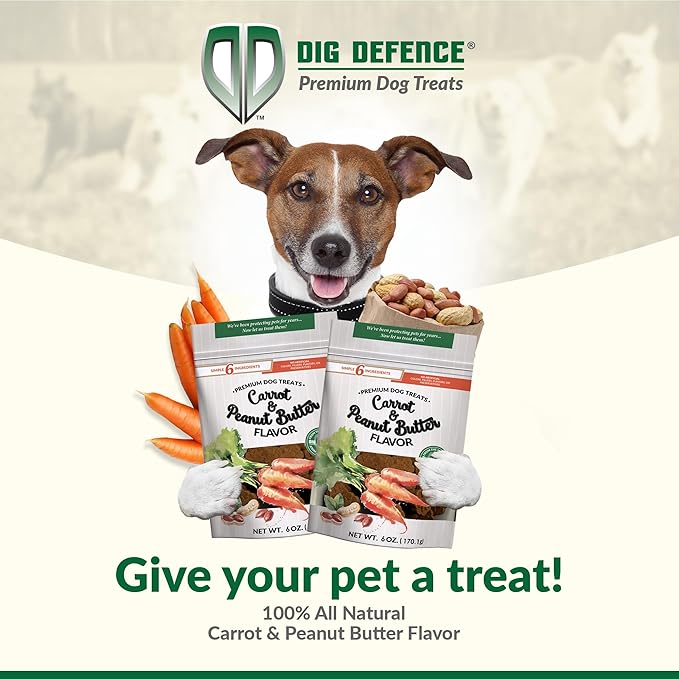 Dig Defence Premium Dog Treats - Carrot and Peanut Butter, Natural Ingredients, Baked Gourmet Snacks for Small & Big Dogs, Healthy Training Treat, 2 Pack
