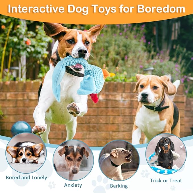 Squeaky Dog Toys for Medium and Small Dogs-Interactive Tug of War Toy for Puppy Teething,Great Plush Dog Toy for Dogs to Keep Them Busy