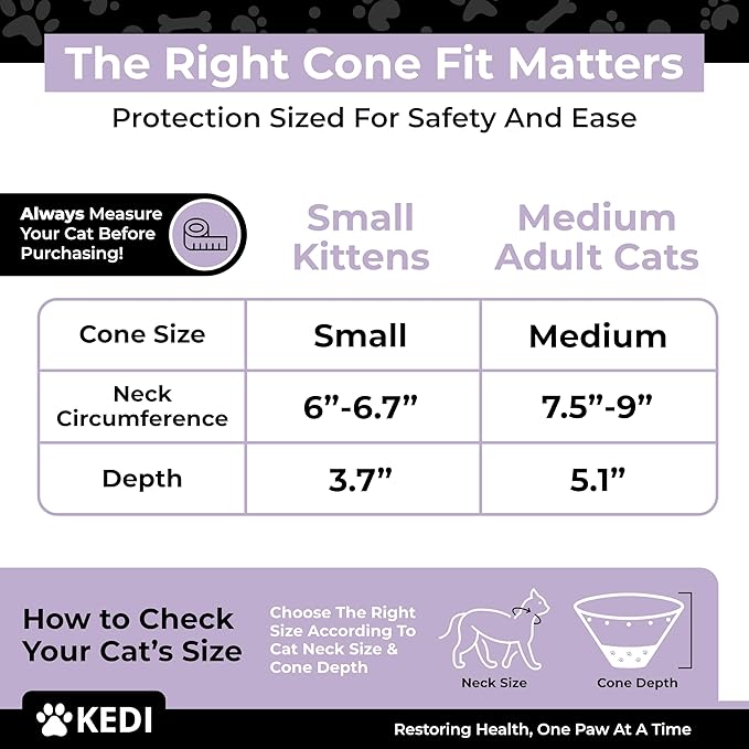 Cat Recovery Cone Kit Post Surgical Soft Pet Vest, Collar, and Non-Irritating Protection Cone for Cats - Comfortable Injury Care Solution (Black, M)