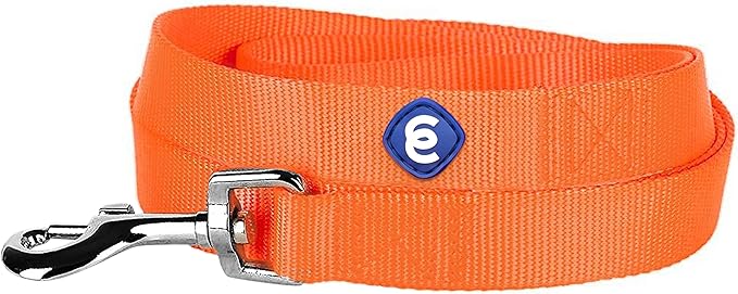 Blueberry Pet Essentials Florence Orange Dog Leash for Medium - 5' * 3/4" Dogs | Heavy Duty Nylon Lead | Lightweight Puppy & Cat Leash for Walking & Training
