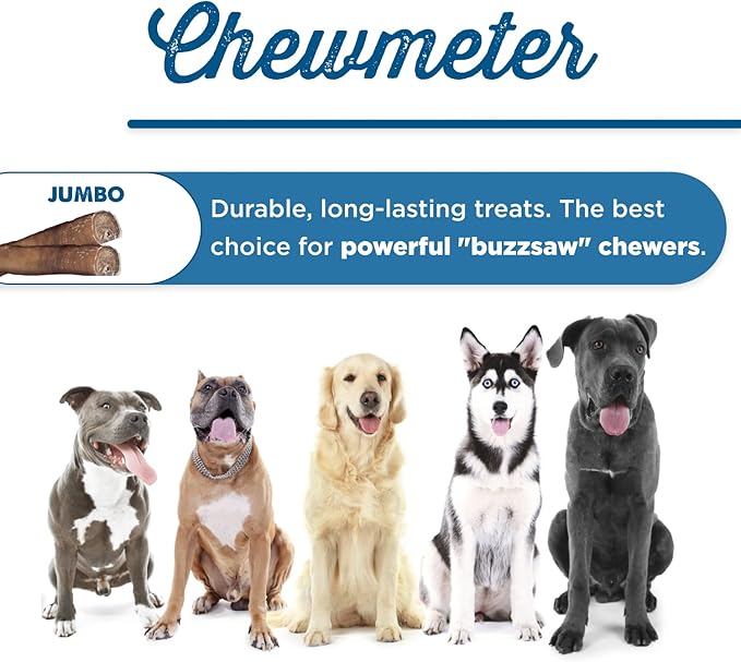 Best Bully Sticks Jumbo Bully Sticks - 12 Inch, 25 Count (Pack of 1) - Natural, Grass-Fed Beef, Single Ingredient, Grain-Free, Rawhide Alternative, Dog Treats for Large Dogs