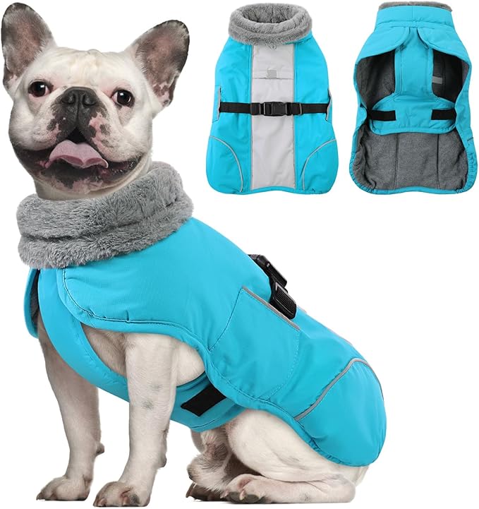 Queenmore Dog Coats for Large Breeds, Dog Snow Jacket, Adjustable Easy On Pet Winter Jackets, Waterproof Cold Weather Pet Coat, Blue, L