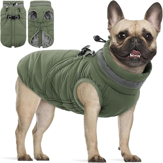 SAWMONG Dog Coat, Warm Dog Winter Coat, Waterproof Fleece Jacket, Cold Weather Dogs Jacket (XS,Green)