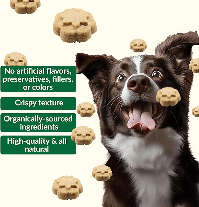 Dig Defence Premium Dog Treats - Blueberry and Banana, Natural Ingredients, Baked Gourmet Snacks for Small & Big Dogs, Healthy Training Treat, 2 Pack