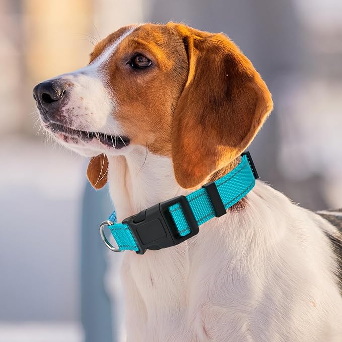 Personalized Embroidered Dog Collar - Custom Hand-Stitched Name & Number, Reflective Adjustable Pet Collar for Small/Medium/Large Dogs & Cats, Durable Nylon with Steel D-Ring (Sky Blue, Medium)