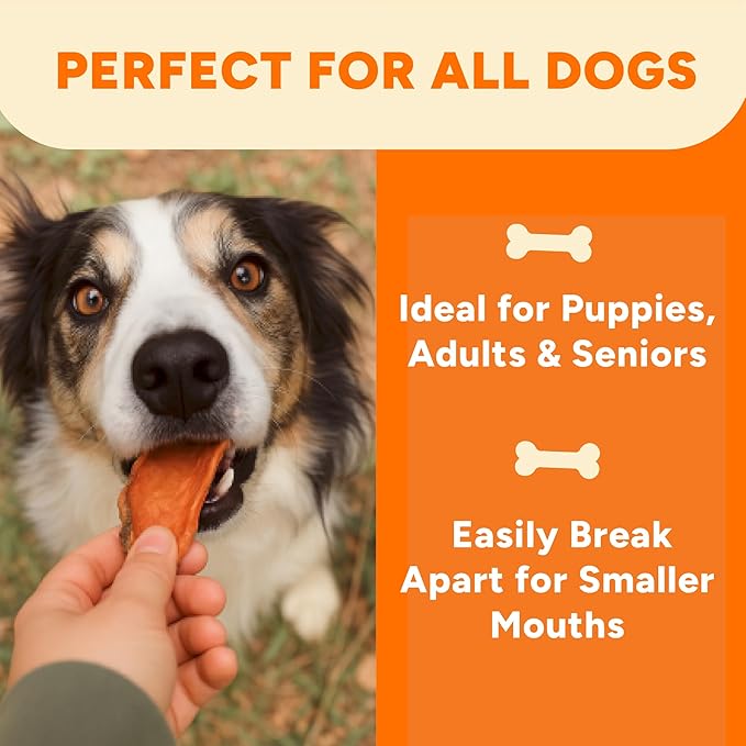 Gaines Family Farmstead Sweet Potato Chews for Dogs - 8 oz Bag, Single Ingredient, Dehydeated Sweet Potato Dog Treats, High Fiber, Grain-Free, Rawhide Alternative, Vitamin-Rich, Made in USA