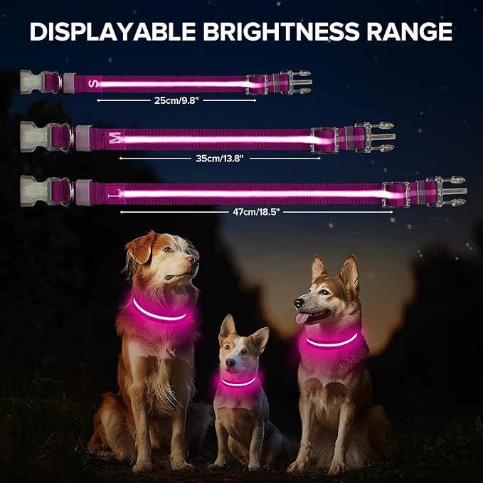 Light Up Dog Collar, Adjustable USB Rechargeable Glow in Dark Dog Collar ，Waterproof Dog Collars for Small Dogs (Pink, Small)