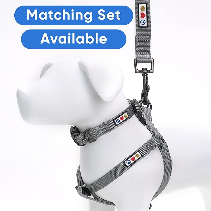 Pawtitas 6 FT Solid Color Leash for Puppy & Cat Training - Extra Small, 6 ft or 1.8 m, Grey