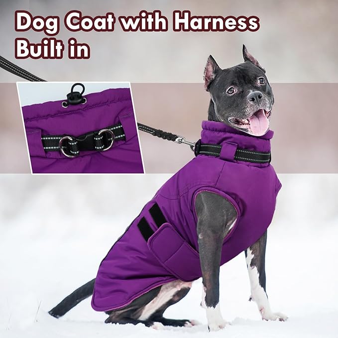 Dog Coats for Medium Dogs, Waterproof Winter Coat with Harness Bulit in, Reflective Reflective Adjustable Hook&Loop Dog Snowsuit for Cold Weather Warm Snow Jacket, M Purple