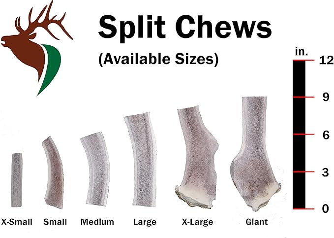X Small Split Twin Pack (for 0-10 lb Dogs and Puppies) Premium Grade Elk Antlers for Dogs (2 Pieces) Sourced in The USA
