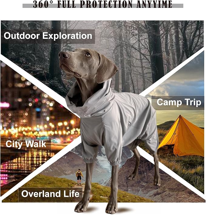 Dog Lightweight Windbreaker, Pet Outdoor Sports Jacket, 0.5 lbs,3 in One, Hooded, Easy on/Off with Collar and Harness, Reflective Piping, Packable, Dog Hiking/Camping, Grey (XXX-Large)