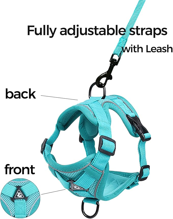 Cat Harness and Leash Set Escape Proof Tactical Medium Kitten Harness Emotional Support Cat Vest, Turquoise, M