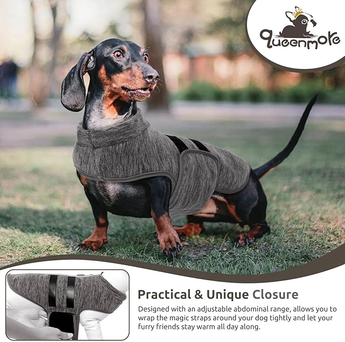 Queenmore Small Dog Sweaters, Soft Fleece Vest Pullover Dog Jacket with Leash Hole, Warm Winter Dogs Clothes Cold Weather Doggy Dachshund Sweater for Small Doggy Cats Boy or Girl (Cationic Gray, S)