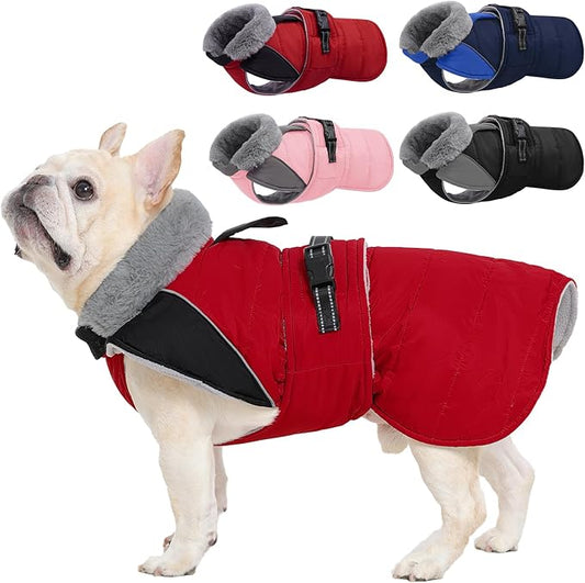 Nanaki Small Dog Coat for Winter Waterproof, Warm Fleece Lining Furry Collar Dog Jacket with Leash Hole, Reflective Adjustable Cold Weather Puppy Pet Snow Jacket Vest Outdoor Walking Hunting, Red M