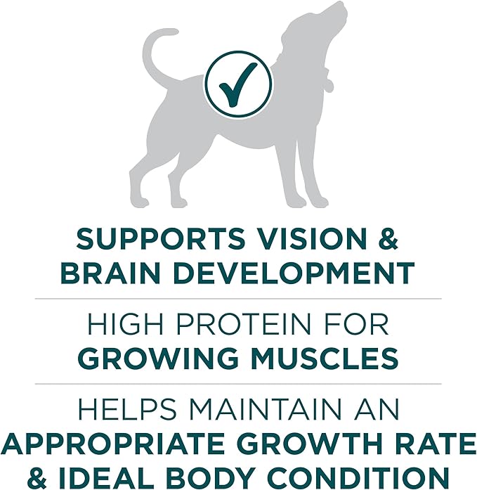 Purina One Plus Puppy Dry Dog Food for Large Dogs High Protein Growth Support, Real Chicken - 31.1 lb Bag