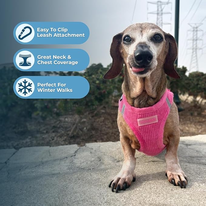 Best Pet Supplies - All Weather Mesh/Plush, Reflective, No Pull Harness for Small, Medium Dogs, Cats - Secure with Hook & Loop Fastener, Buckle, Double D-Rings - Fuchsia Corduroy, XS