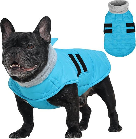 Kuoser Dog Jacket, Winter Dog Coats for Medium Dogs, Cold Weather Coats Pet Clothes, Doggie Snow Jacket for Frech Bulldog, Boston Terrier, Blue M