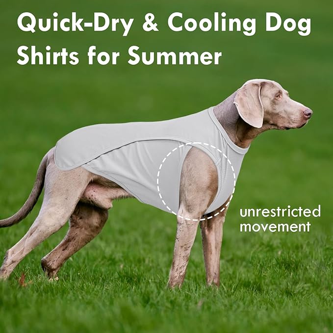 2 Pack Dog Shirt, Quick Dry Cooling Tshirts for Dogs Large, Breathable Durable UPF50+ Summer Clothes, Lightweight Prevent Overheating Vest, Blue+Grey, 3XL