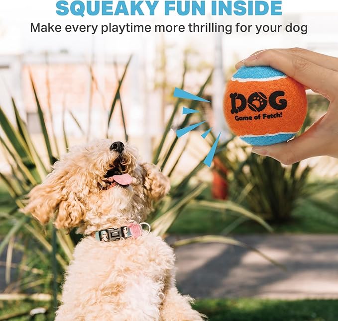AMA SPORT Squeaky Tennis Balls for Dogs 2.0" Small Dog Tennis Balls for Throwing and Fetching Dog Toys for Training, Exercise, High Bouncing 6 Pack (Multicolor A)