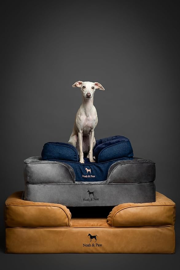 NOAH & PAW Dog Bed, 28x23x7.5 Inch, Orthopedic Dog Beds for Medium Size Pets, Eggshell Memory Foam Infused with Cooling Gel, Waterproof, Machine Washable, Includes Inner Cover (Faux Leather)