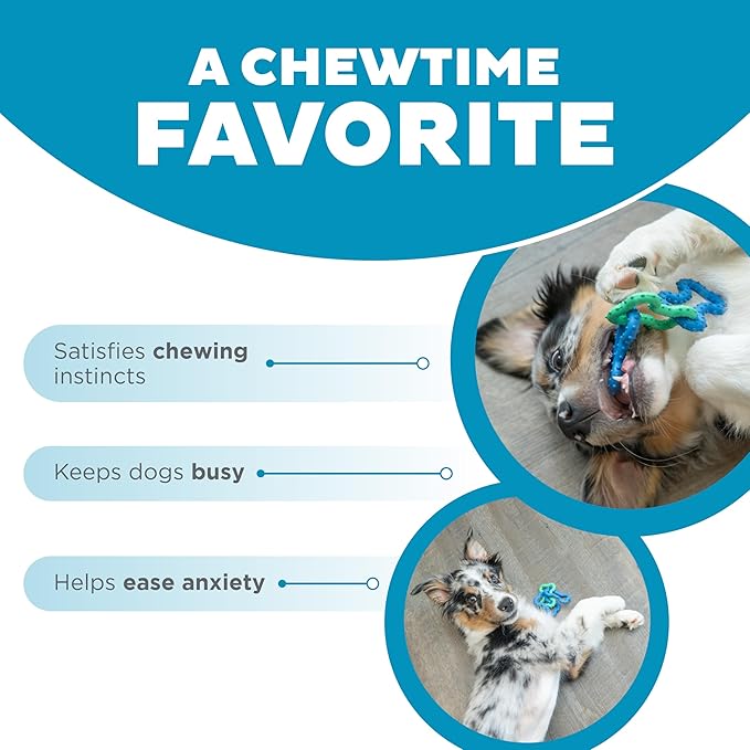 Outward Hound Bone Tugz Tug-of-War Dog Chew Toy, Blue