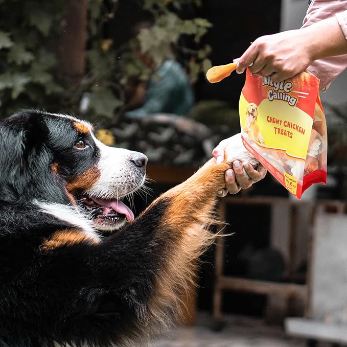 Jungle Calling Chewy Chicken Dog Treats Rawhide Free Real Chicken Calcium Bone, Teeth Clean Breath Fresh Dog Training Treats (Pack of 2)