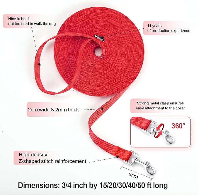 Dog/Puppy Obedience Recall Training Agility Lead - 15ft 20ft 30ft 40ft 50ft Training Leash - Great for Play, Camping, or Backyard (Mint Blue, 40 Feet)