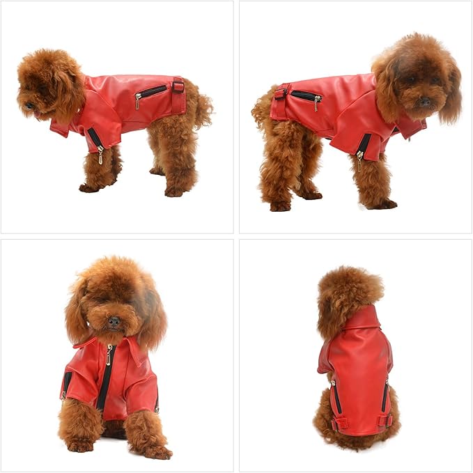 Lovelonglong Cool Dog Leather Jacket, Warm Coats Dogs Windproof Cold Weather Coats for Large Medium Small Dogs, Bichon Clothing Red XL