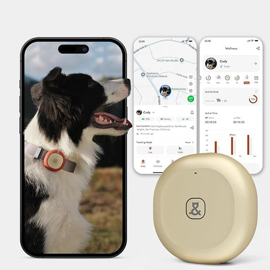 Automatic Dog Feeder for Large Dogs, 14L Capacity, 2.4G WiFi App Control, Dual Power Supply, Stainless Steel Bowl, and Molly&Cody GPS + Bluetooth Pet Tracker for Cats & Dogs – Real-Time Tracking Bundl