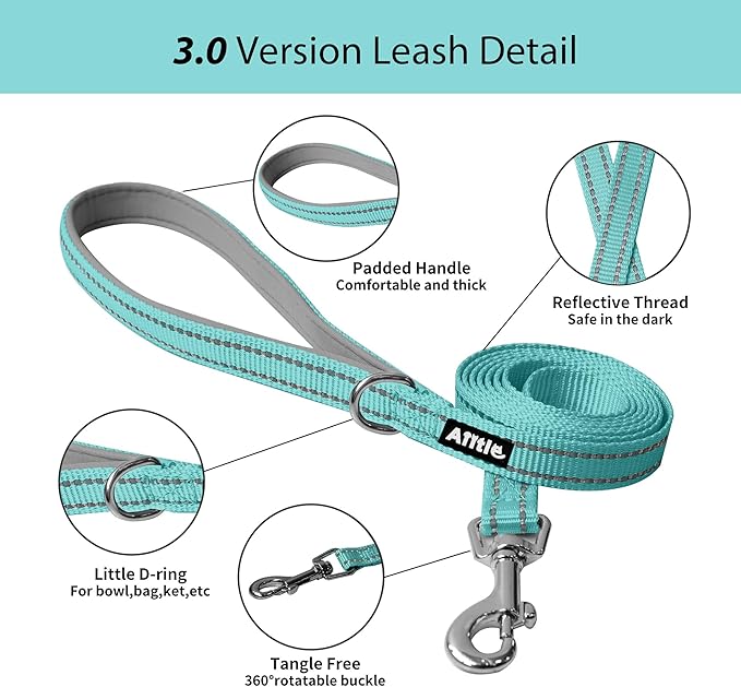 AIITLE Step in Dog Harness and Leash Set - Summer No Pull Escape Proof Vest Harnesses with Soft Mesh and Reflective Bands, Adjustable Pet Outdoor Harnesses for Small and Medium Dogs Pure Turquoise M