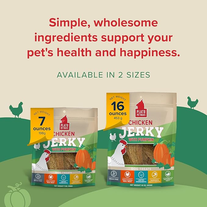 PLATO Pet Treats Jerky Dog Treats - Air-Dried Jerky for Dogs - Delicious, Real Meat Dog Treats - Grain Free - Supports Healthy Digestion - Chicken Jerky with Pumpkin 16oz