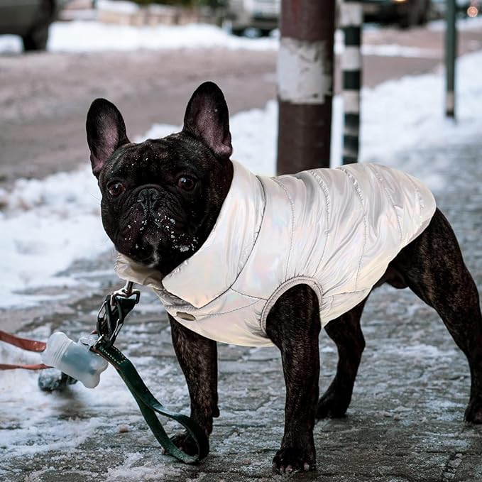 ASENKU Dog Winter Coat - Waterproof Windproof Dog Jacket, Warm Snowproof Doggie Puffer Vest for Cold Weather, Lightweight Snow Coats for Small Medium Large Dogs (Silver, M)