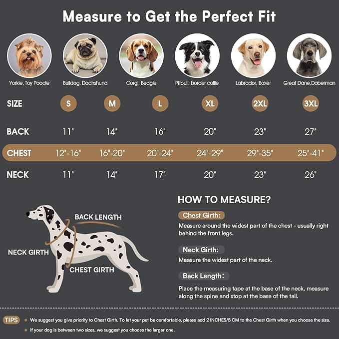 Queenmore Winter Dog Coat Warm Dog Jacket Vest Waterproof Puffer Fleece Snowsuit Adjustable Buckle Leash Hole Reflective Cold Weather Parka for Small Medium Large Dogs Girl Boy Black S