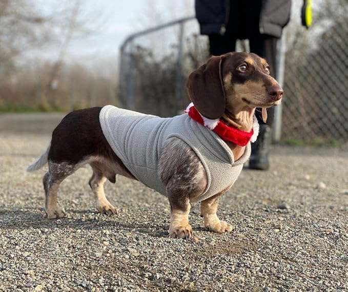 Gooby Fleece Vest Dog Sweater - Gray/Yellow, Small - Warm Pullover Fleece Dog Jacket with O-Ring Leash for Small to Medium Dogs