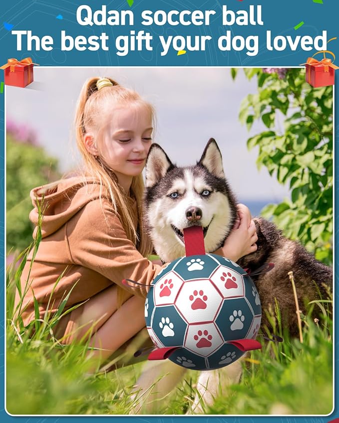 QDAN Dog Toys Soccer Ball with Straps, Durable Giant Dog Balls, Outdoor Dogs Toys, Herding Ball, Birthday Gifts (10 Inch)