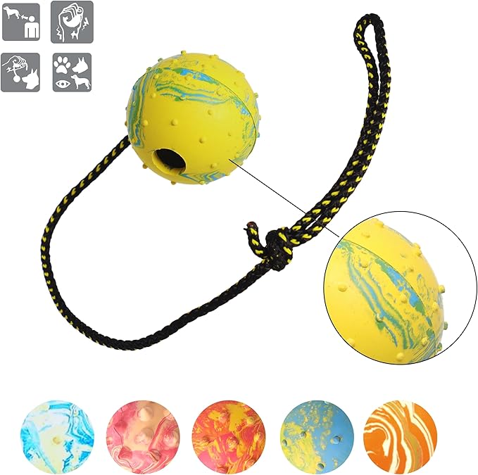 Dingo Fetch Ball Made of Hard Rubber with a String, Large, for Aport Game Dog Training 17298