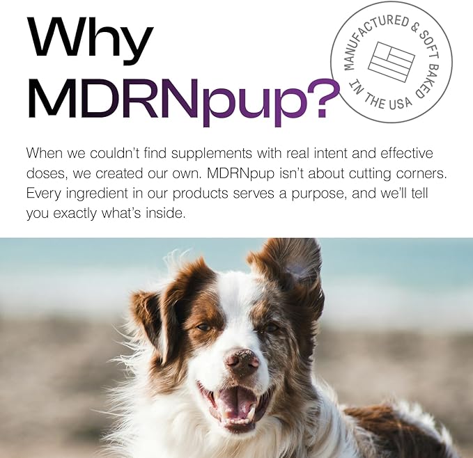MDRNpup® Unique Dog Treats, Human Grade and All-Natural, Only Five Ingredients, High Protein - Amino Acids, Nothing Artificial, Soft Baked in The USA (13.2 Ounce, Veggie Protein Blend)