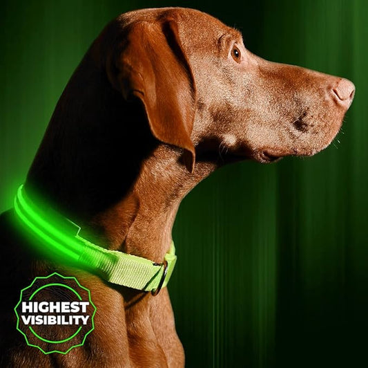 ILLUMISEEN LED Dog Collar USB Rechargeable - Bright & High Visibility Lighted Glow Collar for Pet Night Walking - Weatherproof, in 6 Colors & 6 Sizes (Green X-Small)