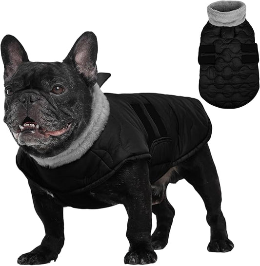 Kuoser Dog Jacket, Winter Dog Coats for Medium Dogs, Cold Weather Coats Pet Clothes, Doggie Snow Jacket for Frech Bulldog, Boston Terrier, Black M