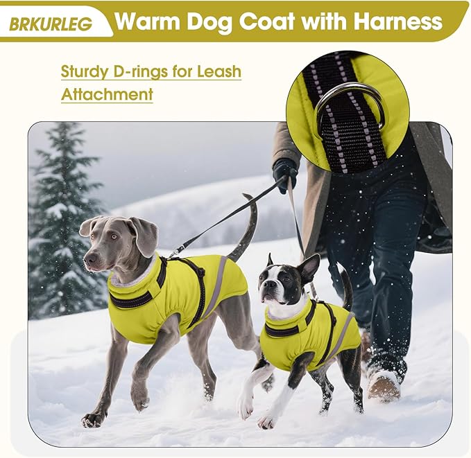 BRKURLEG Dog Winter Jackets for Small Dogs, Dog Coat with Harness Built in, Dogs Snowsuits with Zipper, Waterproof Windproof Pet Puffer Jacket Fleece Vest for Chihuahua, Yorkie, Green XS