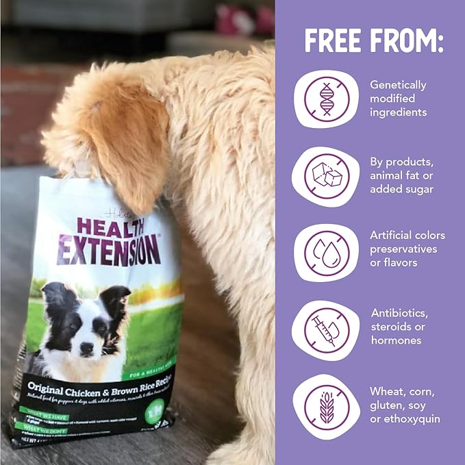 Health Extension Original Chicken & Brown Rice, Protein Packed Formula with Probiotics & Superfoods for Digestion & Coat Health (15 lb Bag)