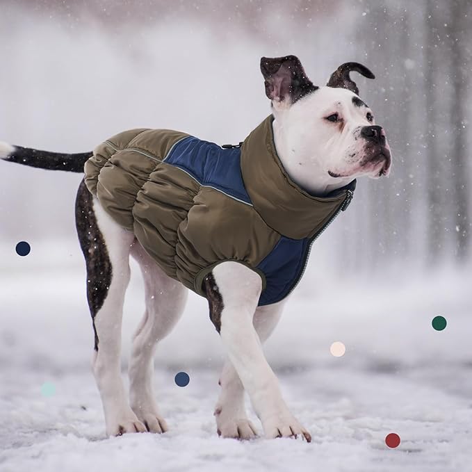 IECOii XXL Dog Coat, ZIPPED FLEECE & WATERPROOF Dog Winter Jacket, EXTRA LARGE for M/F Dogs