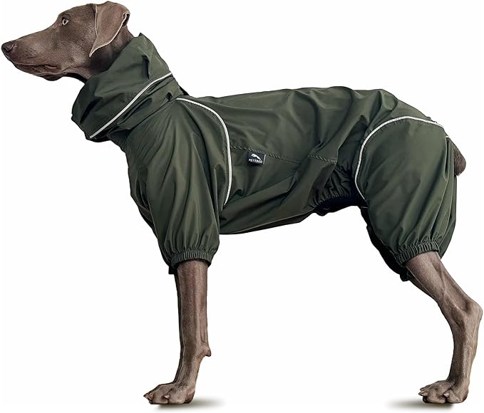 Dog Lightweight Windbreaker, Dog Outdoor 4-Legs Jacket, 0.5 lbs,Durable Water Repellent, Hooded, Easy on/Off with Collar and Harness, Reflective, Packable,Dark Olive (Large)